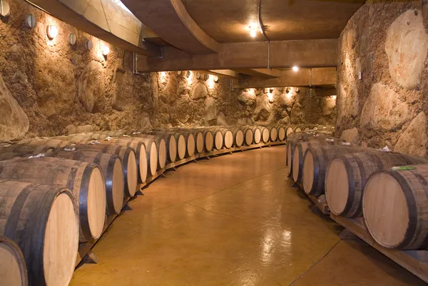 Bodega de vino cerca de Ronda